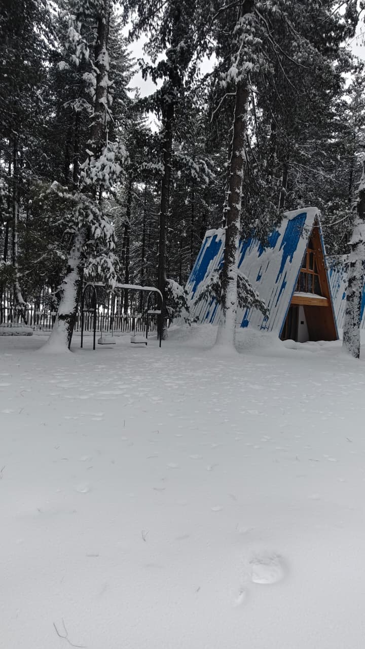 WhatsApp Image 2026-01-30 at 3.22.16 PM