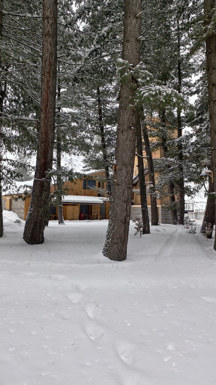 WhatsApp Image 2026-01-30 at 3.22.19 PM (2)