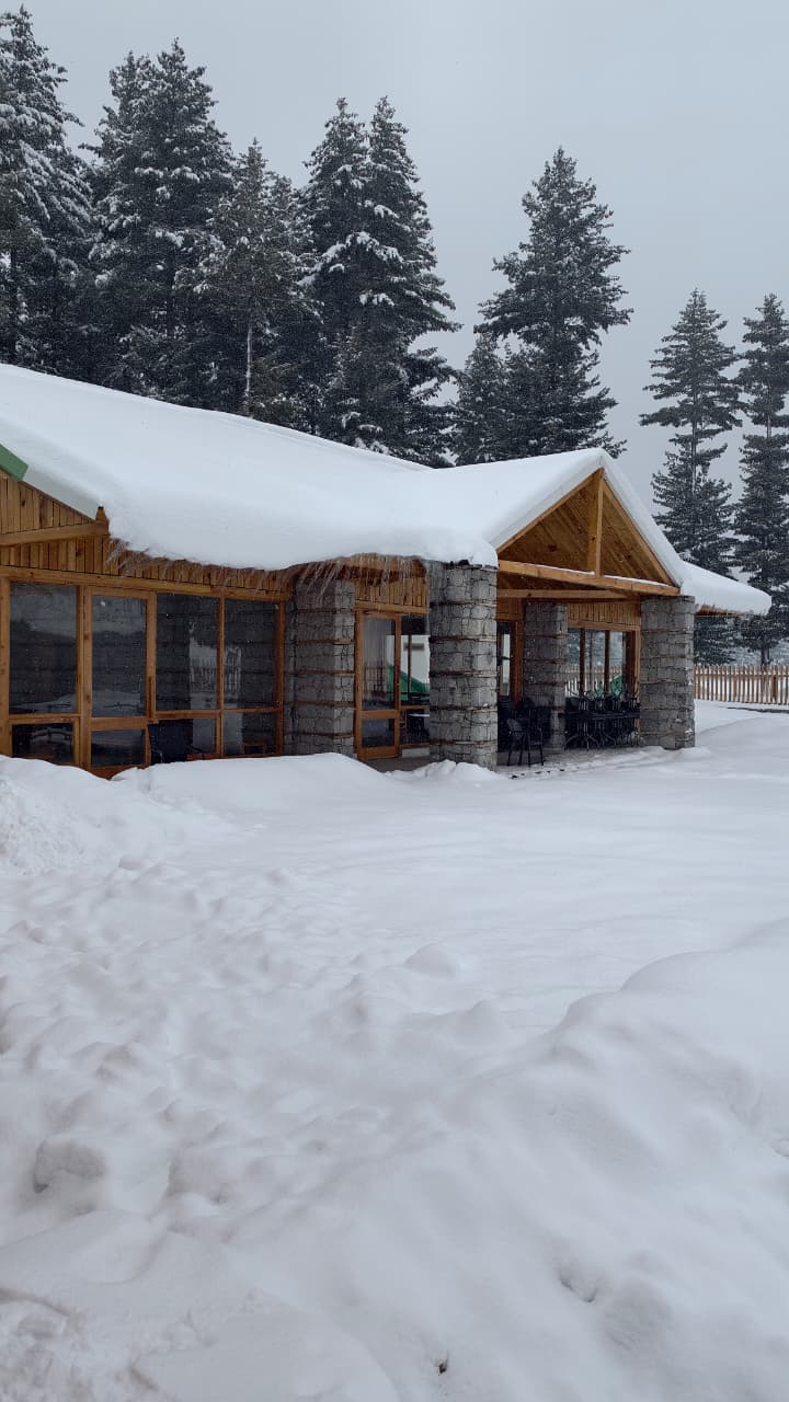 WhatsApp Image 2026-01-30 at 3.22.20 PM (1)