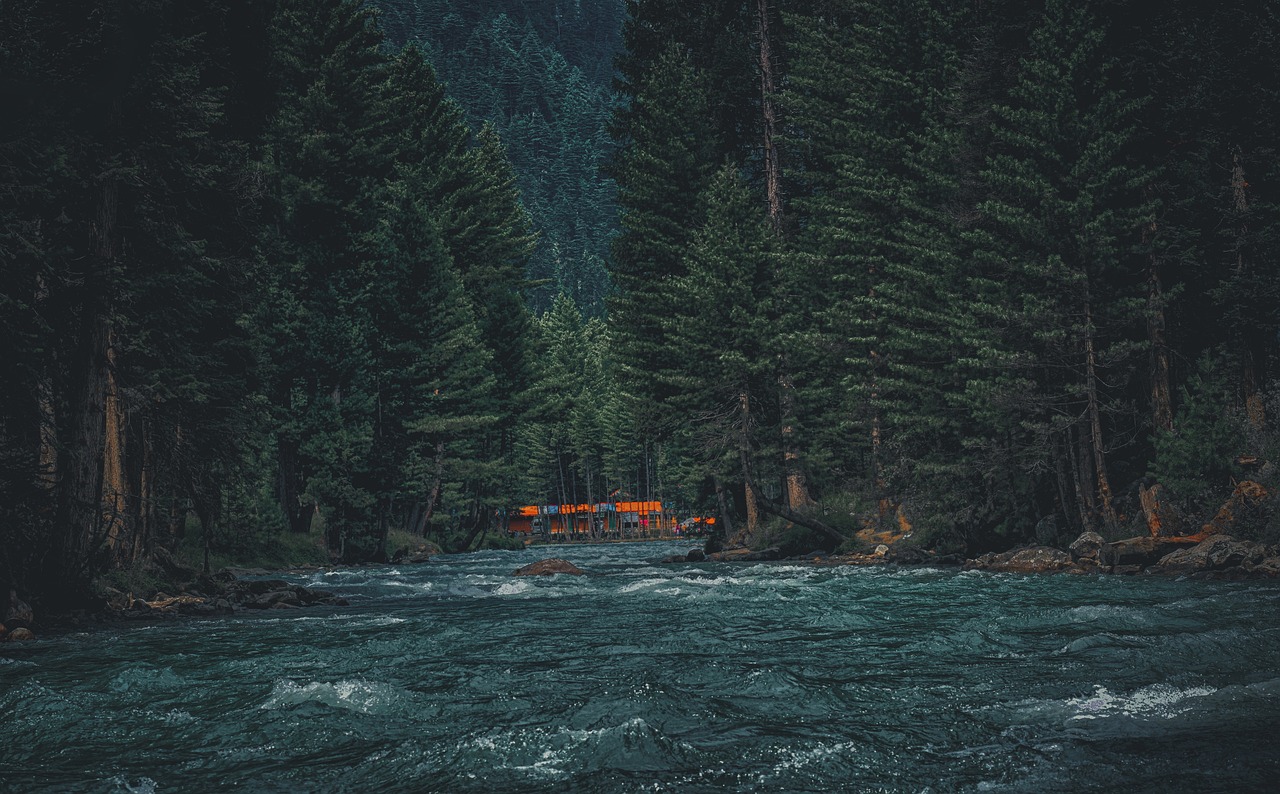 Private Group Resort Booking Kumrat | Amaan Resorts Exclusive Deals