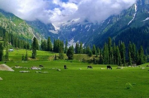 Trip from Sialkot to Kumrat Valley