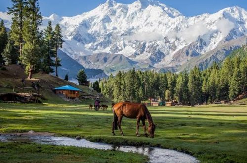 Safety While Traveling to Northern Areas