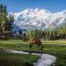 Safety While Traveling to Northern Areas