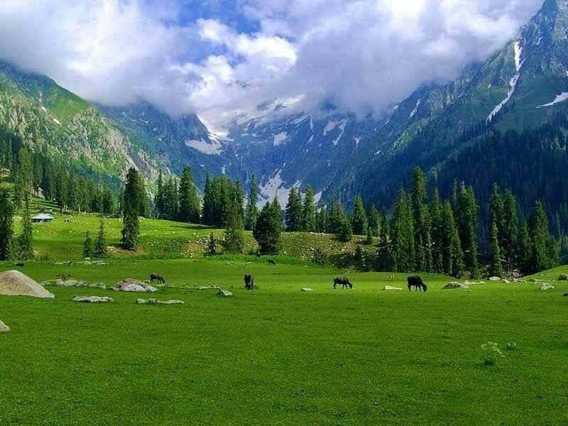 Best Time to Visit Kumrat Valley: Complete Seasonal Travel Guide for Families, Couples & Nature Lovers