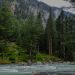 Kumrat Resort Booking