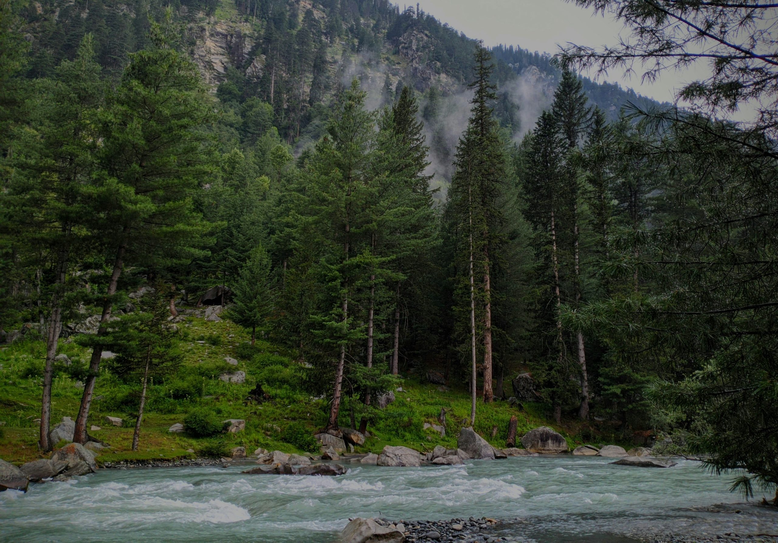 Kumrat Resort Booking: Family & Friends Stay Guide for 2026