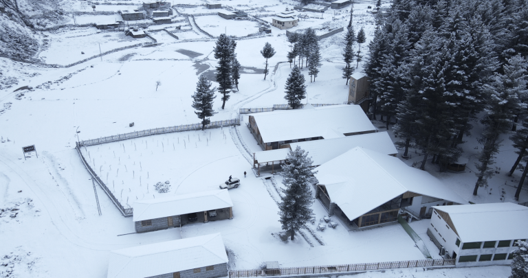 Screenshot 2026-02-03 103407